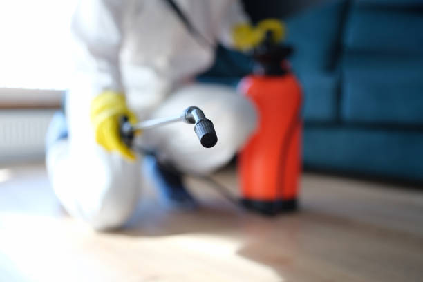 Best Mold Prevention Services  in Brooktrails, CA