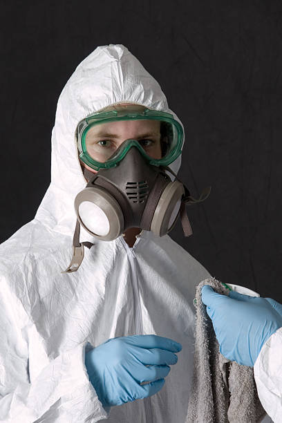 Best Asbestos and Lead Testing During Mold Inspection  in Brooktrails, CA